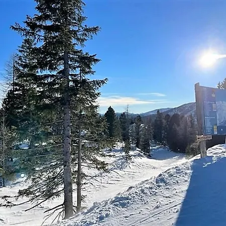Haus Vlietlaender * Turracher Hohe