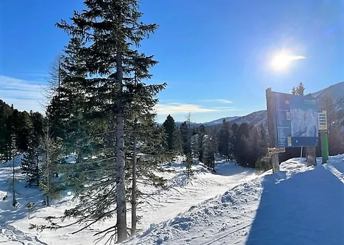 Haus Vlietlaender * Turracher Hohe